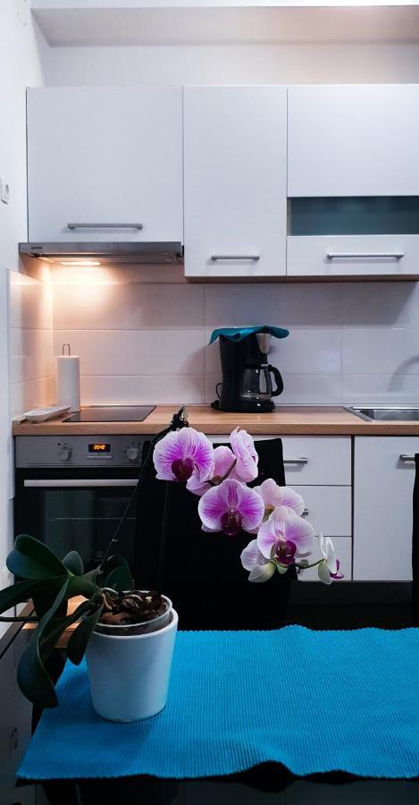 Radenka Zafron Apartment Vodice Exterior photo